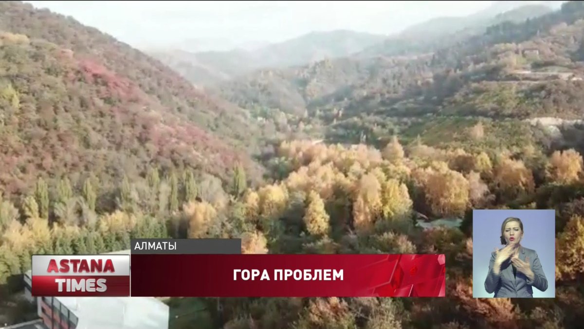 В предгорьях Алматы массово вырубают яблоневые сады, чтобы построить коттеджи