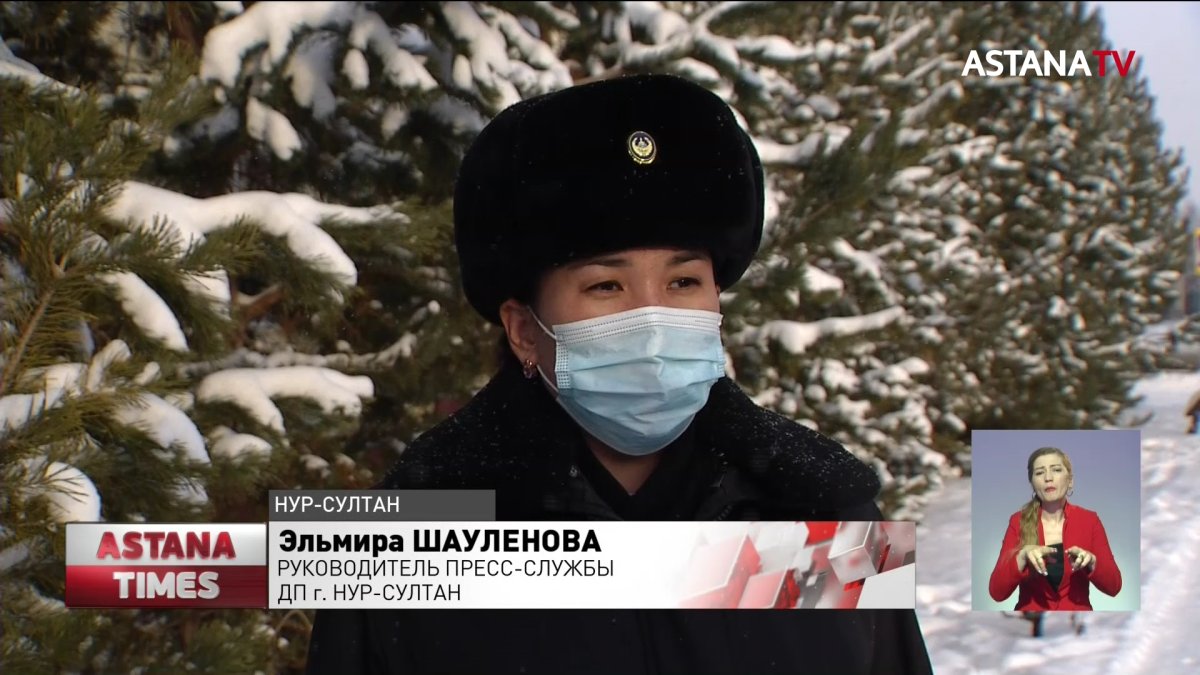 Дело об изнасиловании собак в Нур-Султане: волонтеры просят помощи у президента