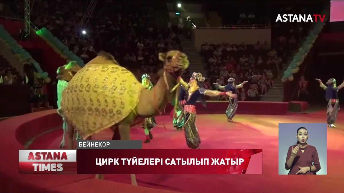 Эльмира, Бота және Арай электронды аукционға шықты