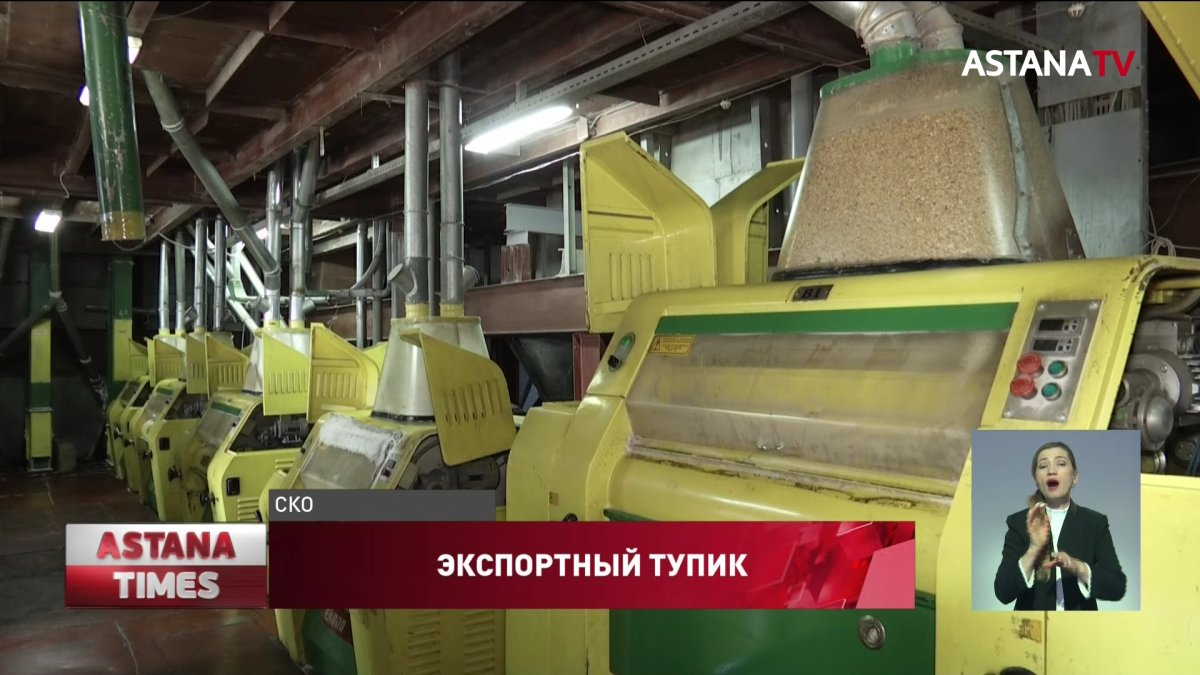 Казахстанские мукомолы не могут экспортировать продукцию за рубеж из-за нехватки вагонов
