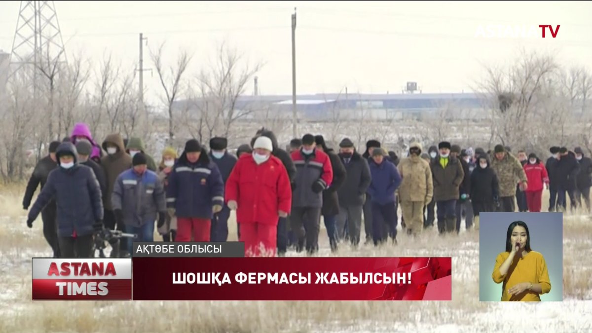 Ақтөбенің Бестамақ аулының тұрғындары шошқа фермасына қарсы шықты
