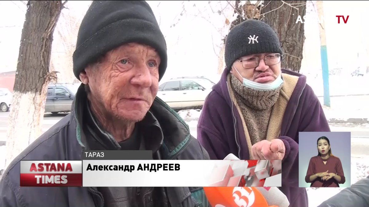 Қаңғыбастардан да ПТР сынамасы талап етіледі