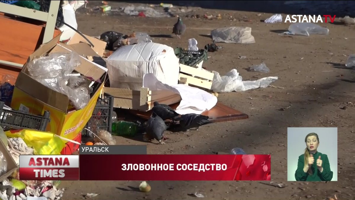 На крысиные набеги и невыносимую вонь жалуются жители Уральска