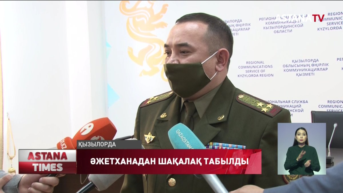 Қызылордада әжетханадан шақалақтың мәйіті табылды