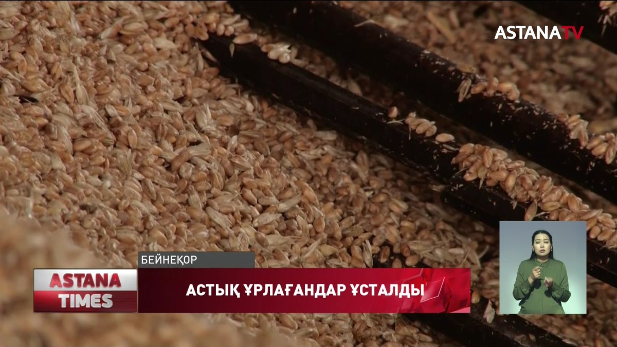 СҚО-да астықты тонналап ұрлаған топ ұсталды