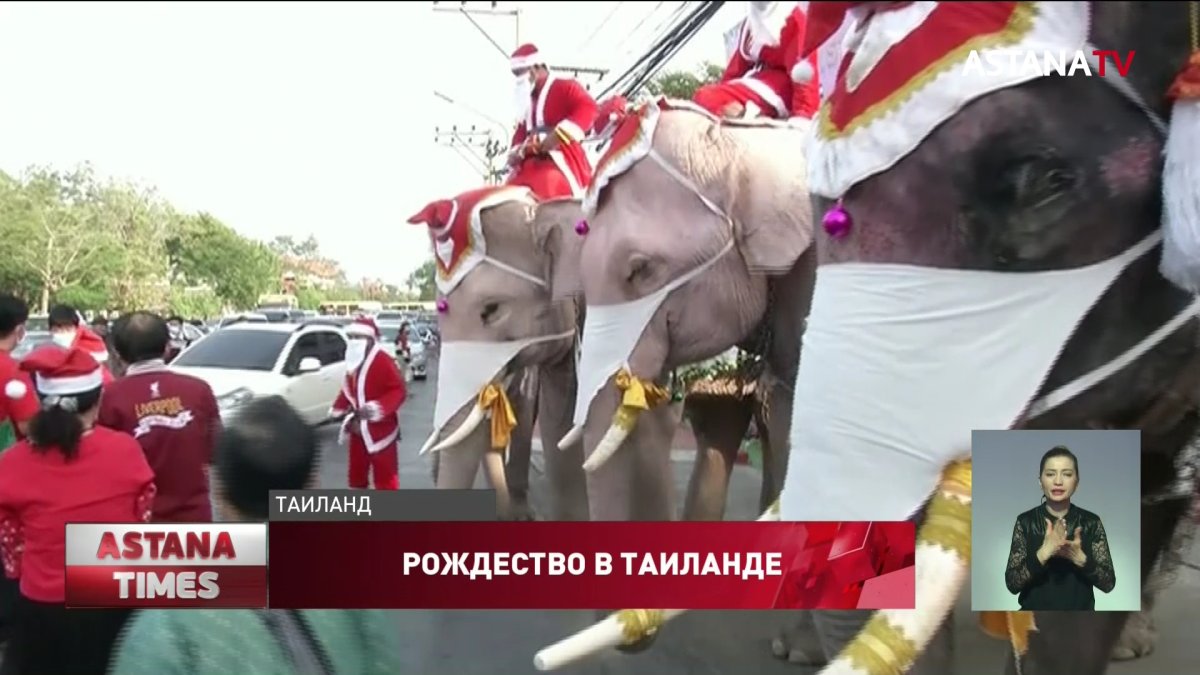 Слоны переоделись Санта-Клаусами и отправились в школы в Тайланде