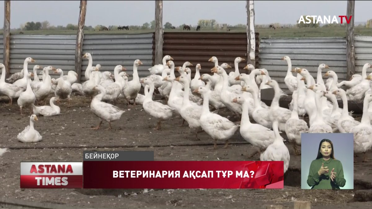 Ветеринария – жемқорлық жайлаған сала, - сенатор