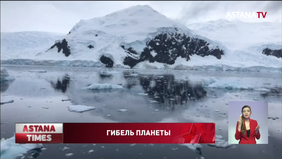 Coca-Cola, Pepsi и Nestle стали главными пластиковыми загрязнителями планеты