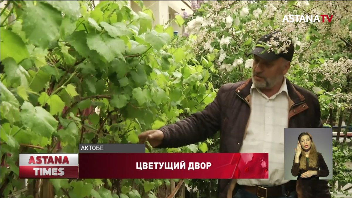 В райский сад превратили свой двор жители актюбинской многоэтажки