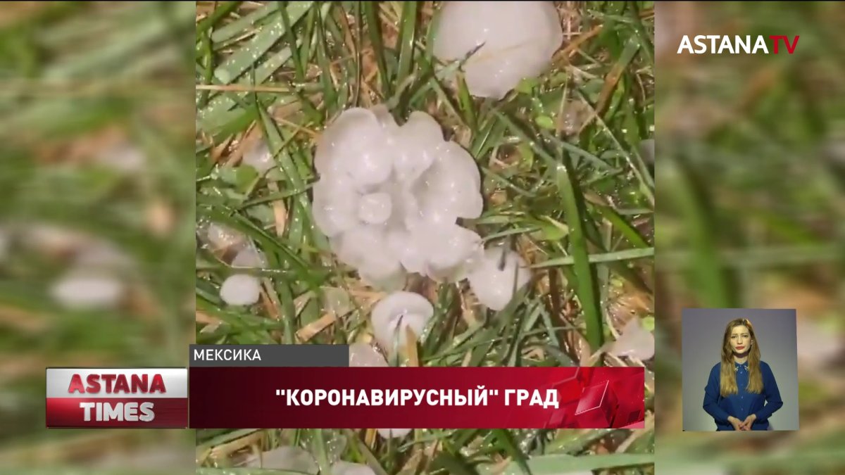 Зеленый снег выпал в Антарктиде