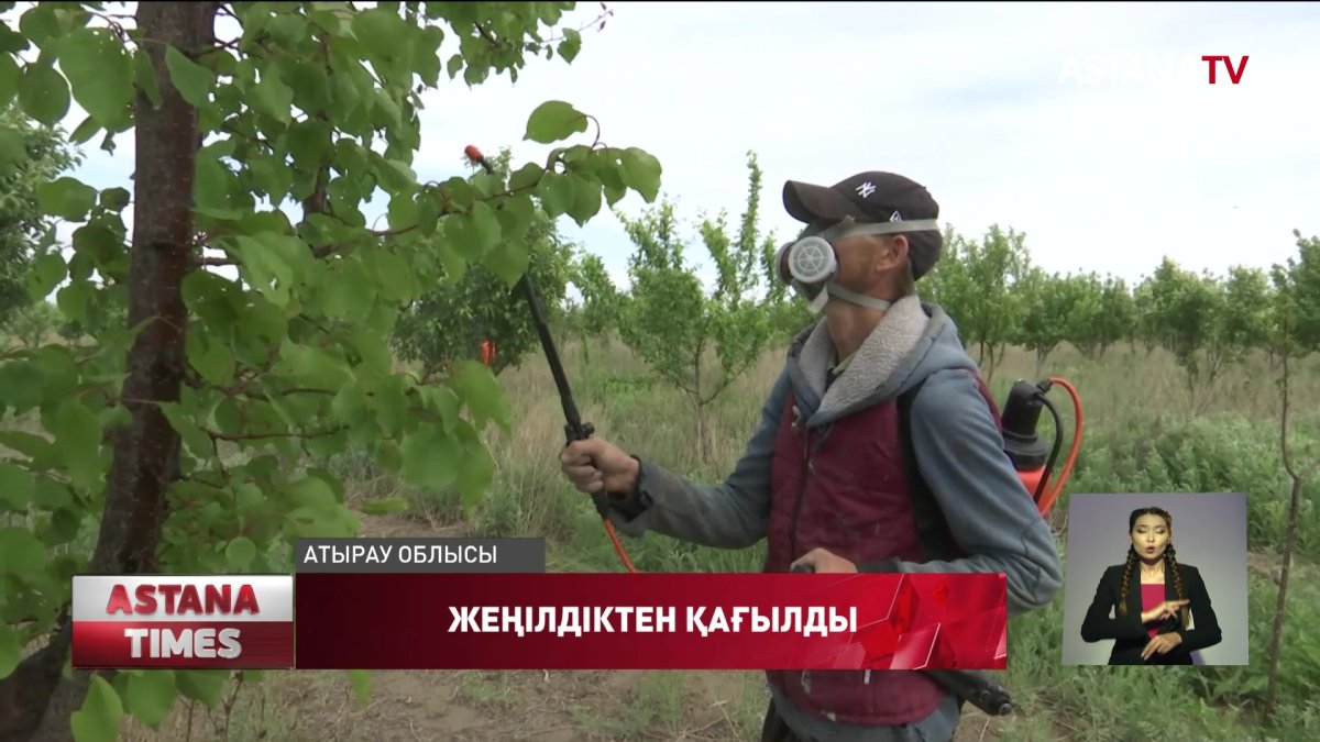 Атыраулық шаруалар Президент ұсынған көмекті ала алмай отыр