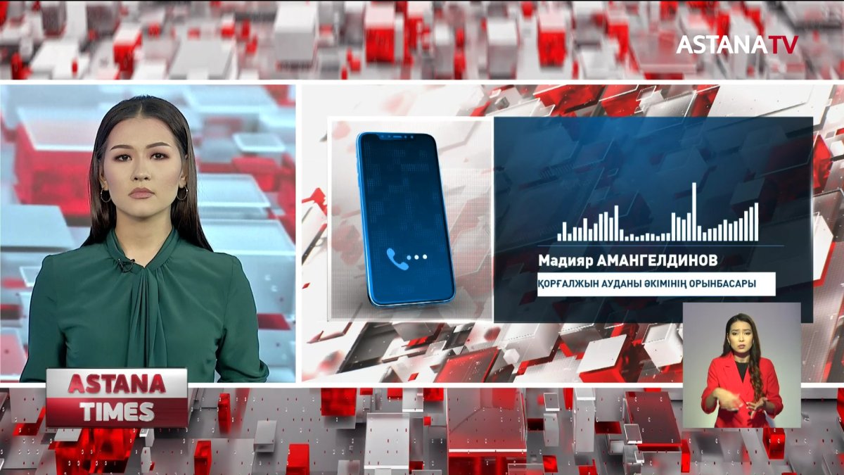 Ақмола облысының бүтін бір ауданын шыбын-шіркей басты