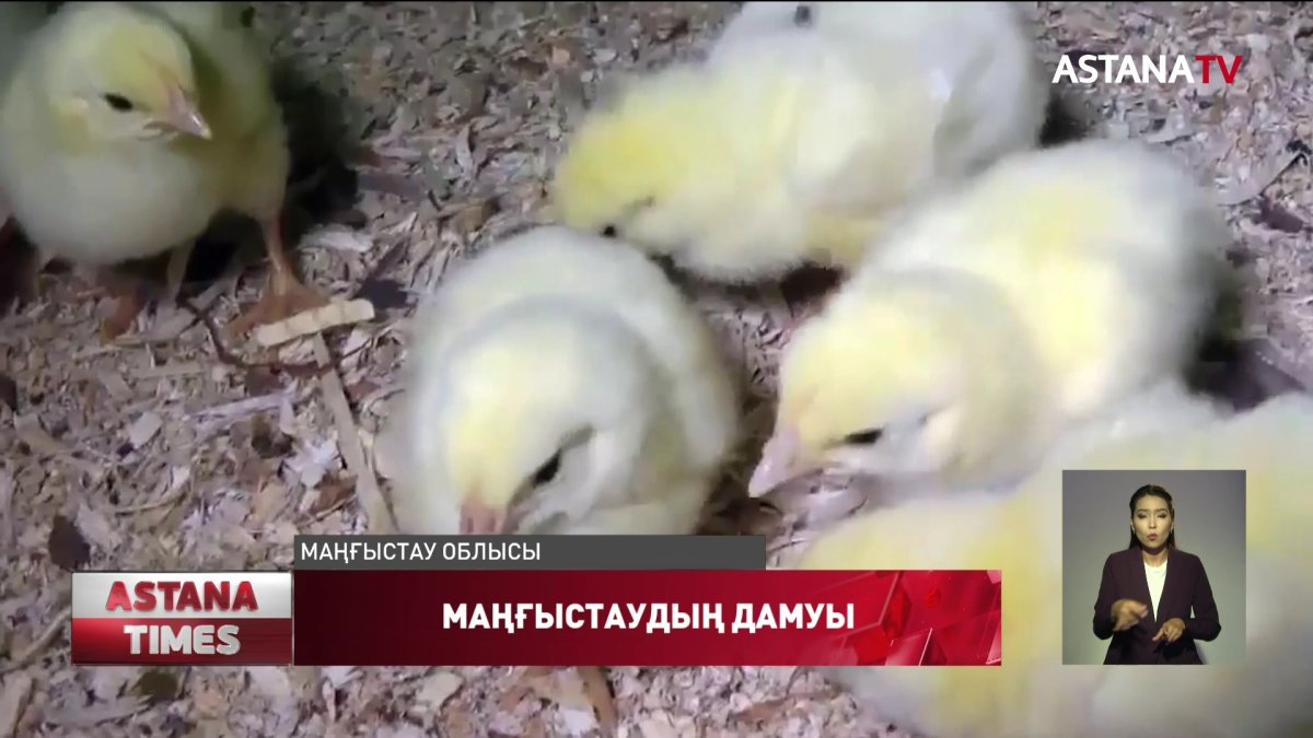 Маңғыстау облысына 11 млрд теңгенің инвестициясы тартылады