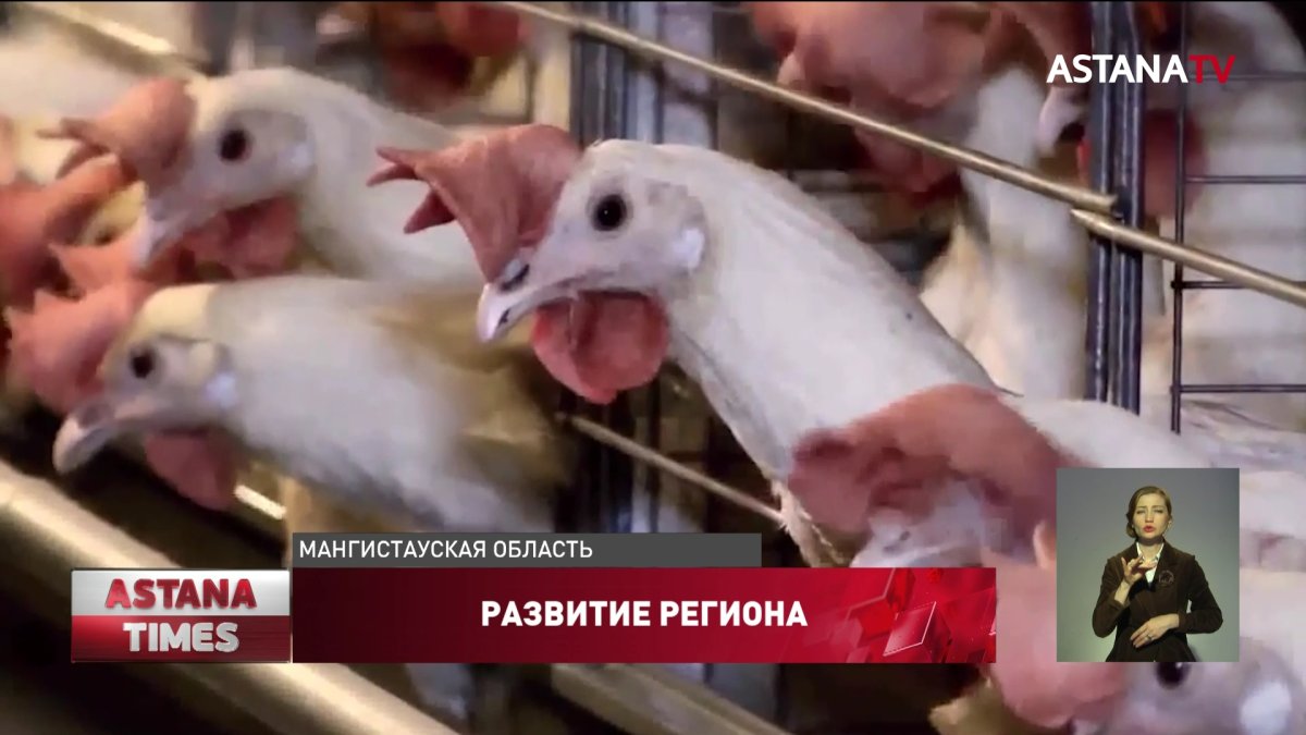 Более 11 миллиардов тенге планируется привлечь в этом году в Мангистаускую область