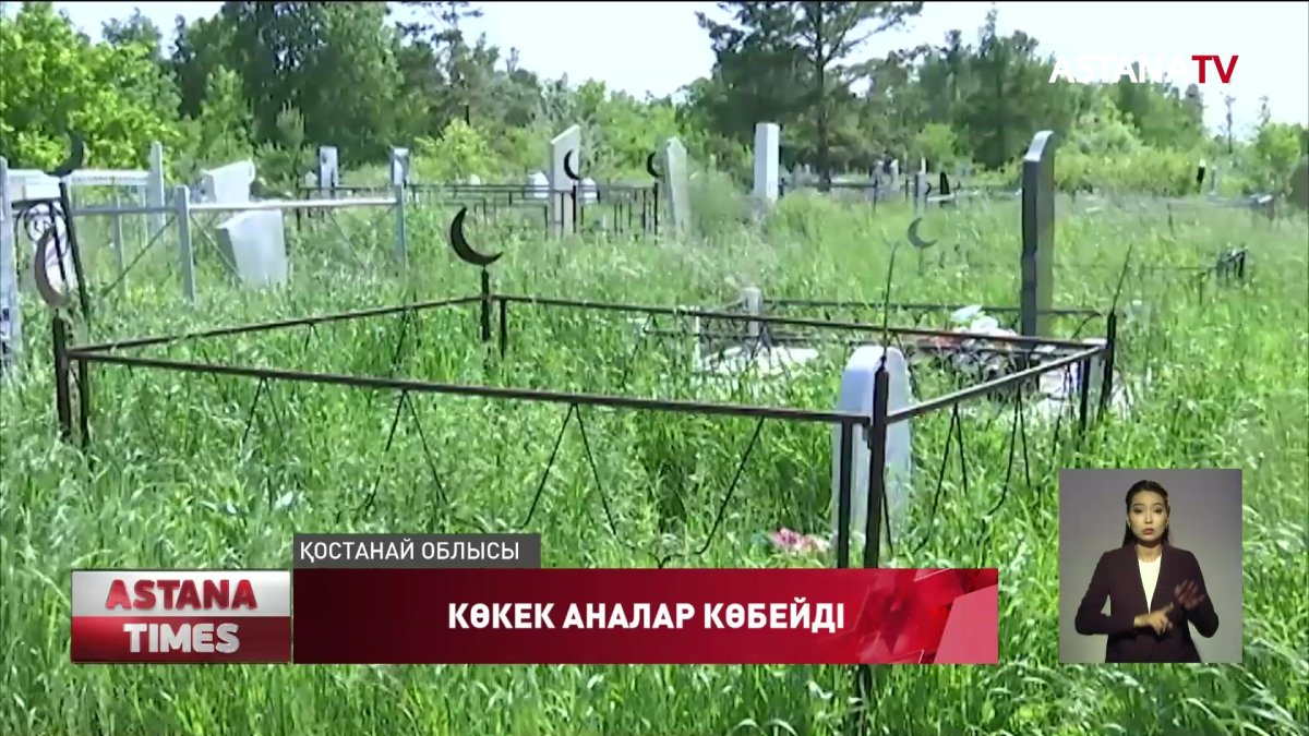 Моланың басынан сәбидің денесі табылды