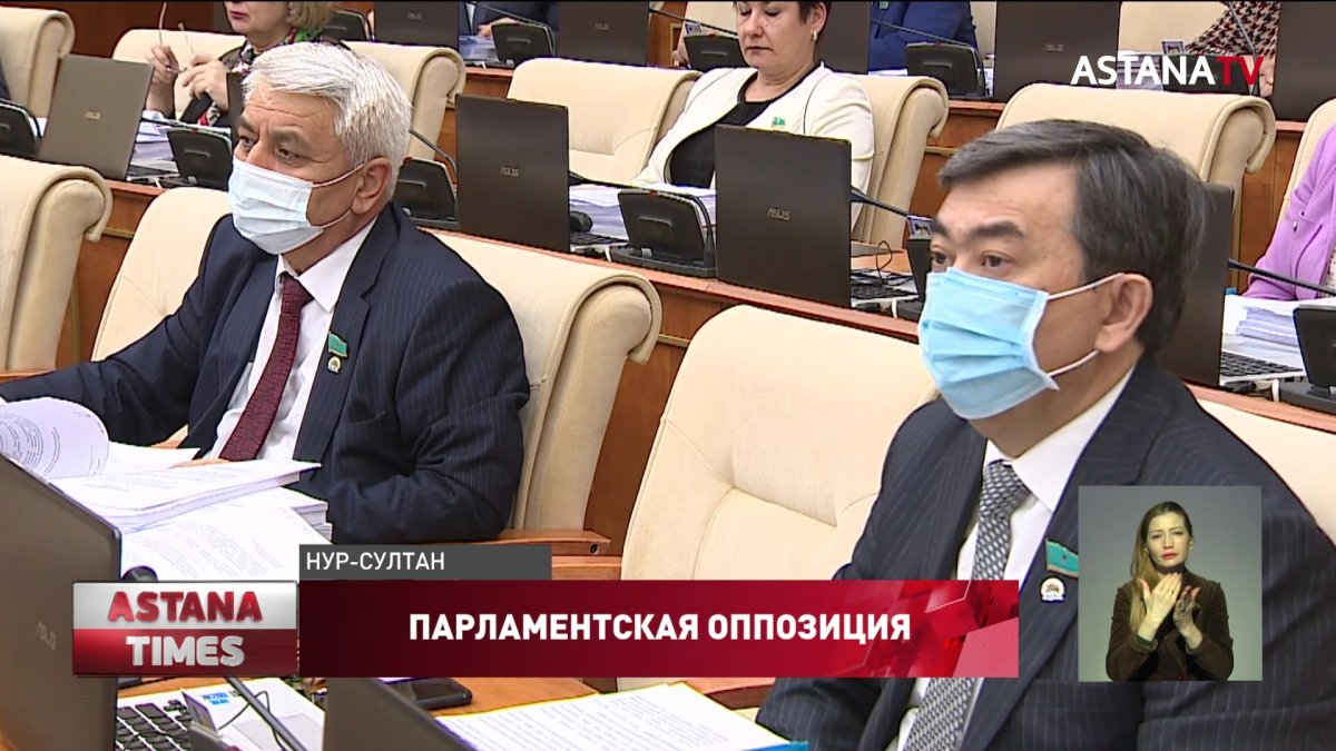 Поправки о парламентской оппозиции изменят отношение ко всем гражданским активистам, - политолог