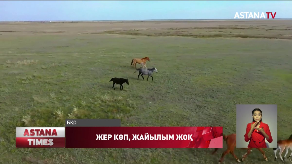 БҚО жайылымға жер жоқ