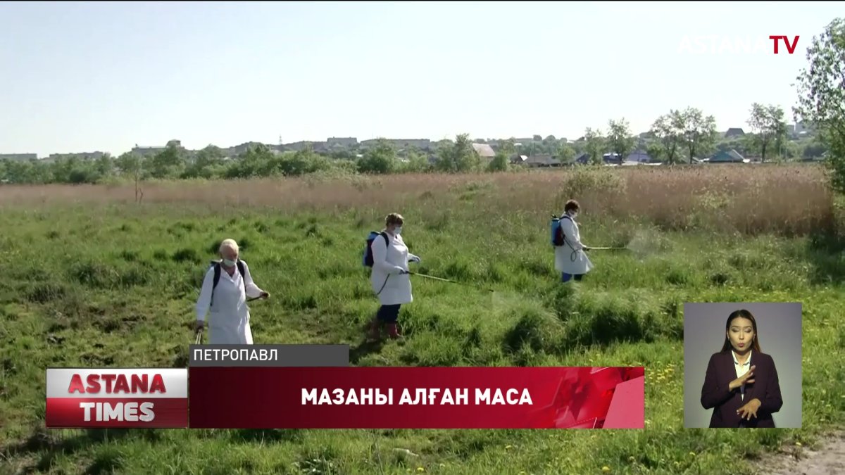Қызылжарда шыбын-шіркейді дәрілеуге бөлінген қаржы жаз басталмай жатып бітіп қалған