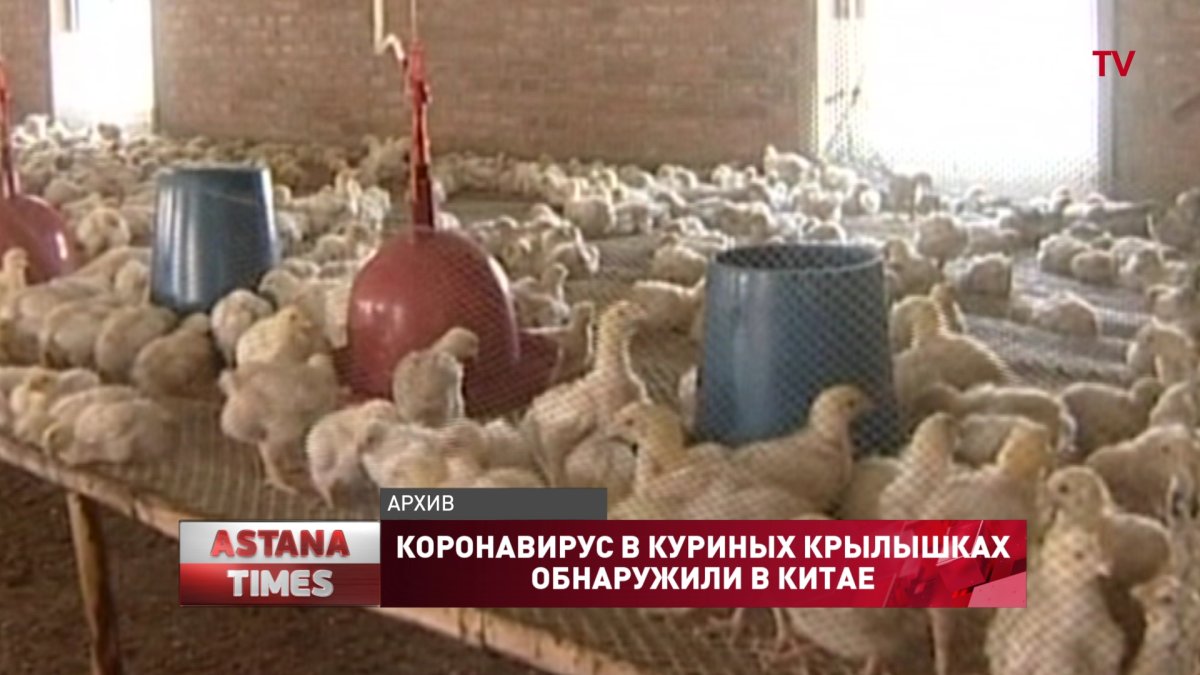 Коронавирус в куриных крылышках обнаружили в Китае
