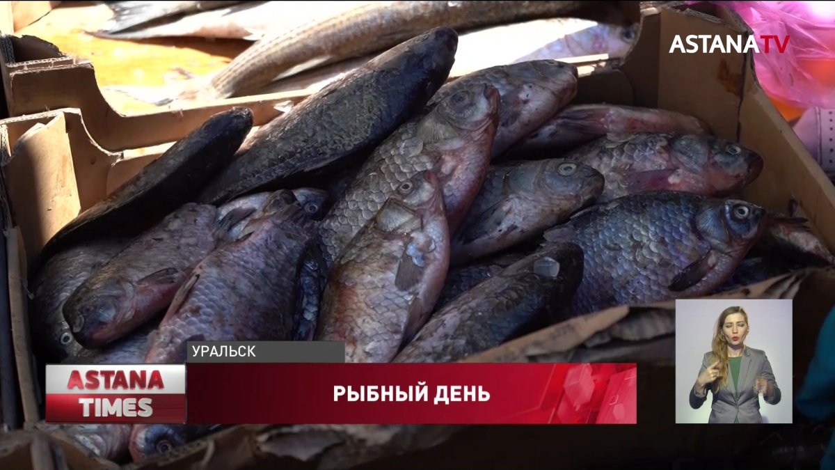 Рыба исчезла в регионах, но министр не унывает