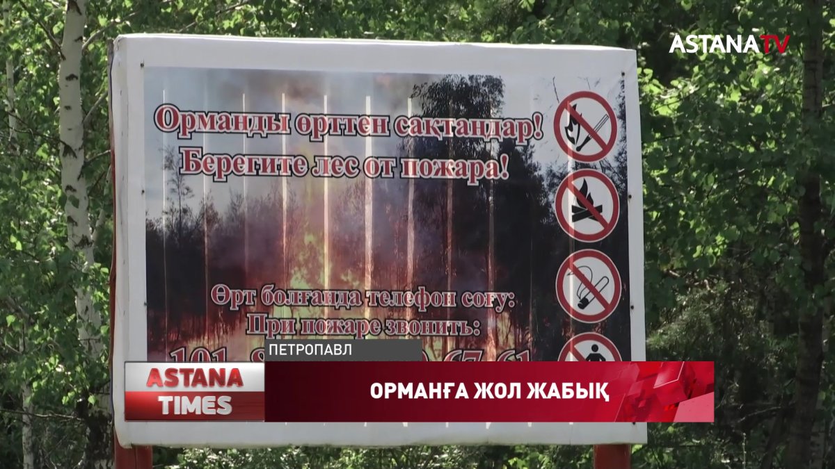 Солтүстік Қазақстанда тұрғындарға орманда демалуға тыйым салынуы мүмкін