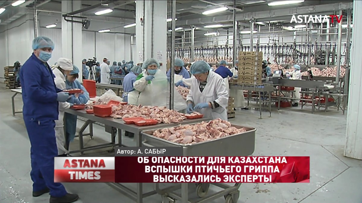Об опасности для Казахстана вспышки птичьего гриппа высказались эксперты