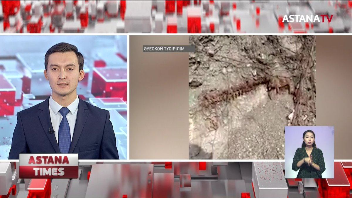 Қостанай облысында адам қаңқасы табылды