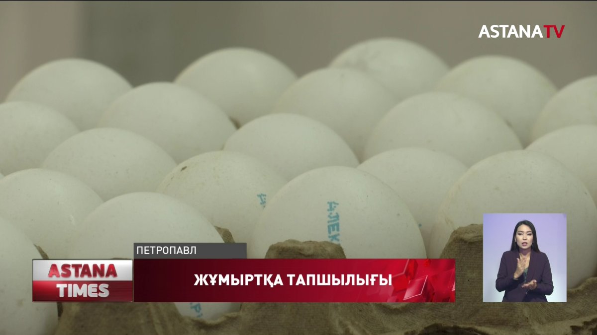 Жұмыртқа тапшылығы бола ма?