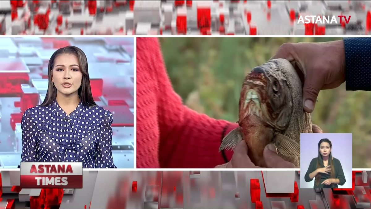 Батыс Қазақстанда тұрғындар балықты қолмен аулап жатыр