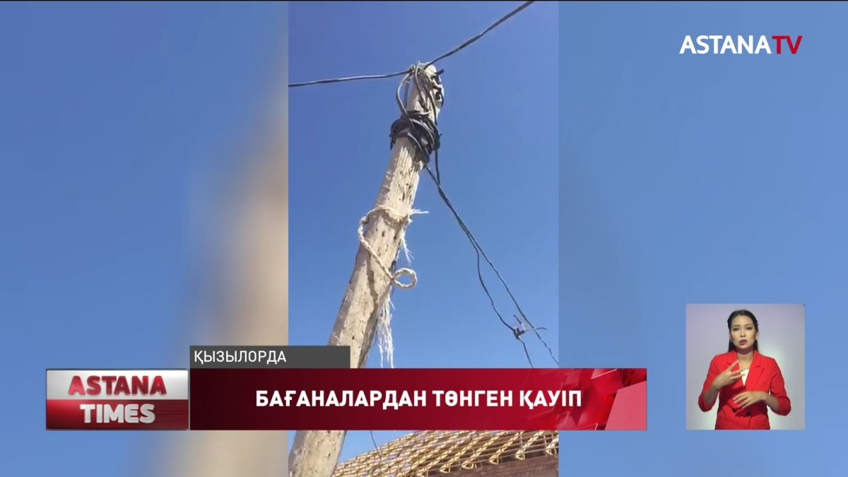 Қызылордаға қарайтын ауылда электр сымдары ағаш басына ілініп тұр