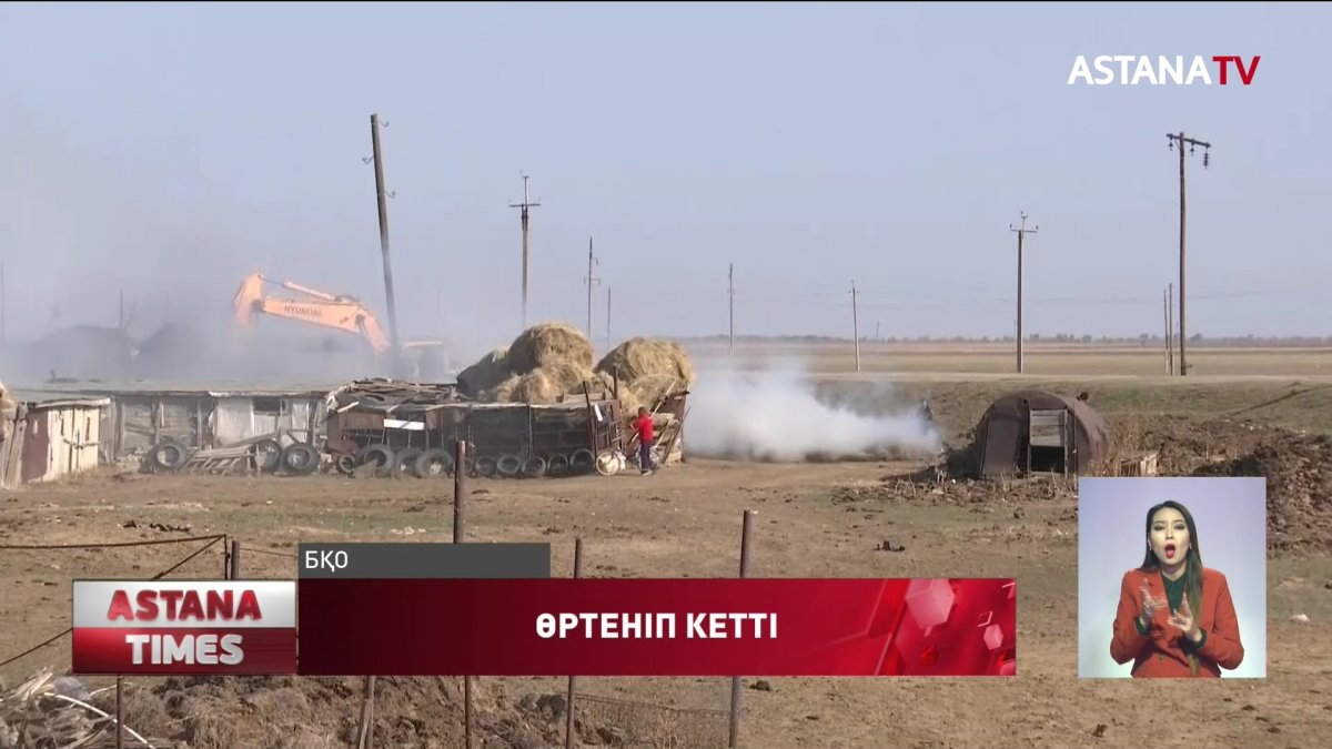 БҚО бес үйдің шөбі мен малы жанып кетті