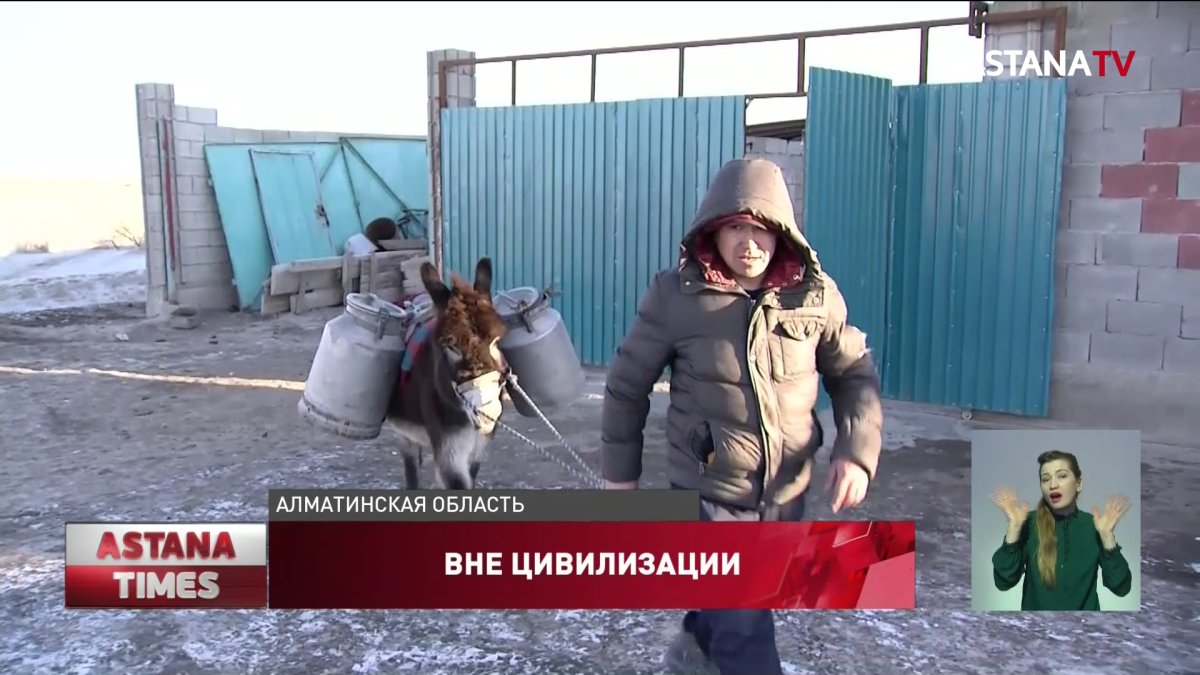 Воду на ишаках вынуждены возить жители микрорайона в Алматинской области