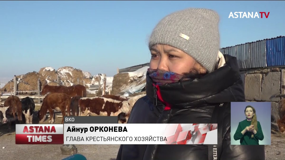 Бизнес-леди может потерять ферму из-за ошибки судоисполнителя в ВКО