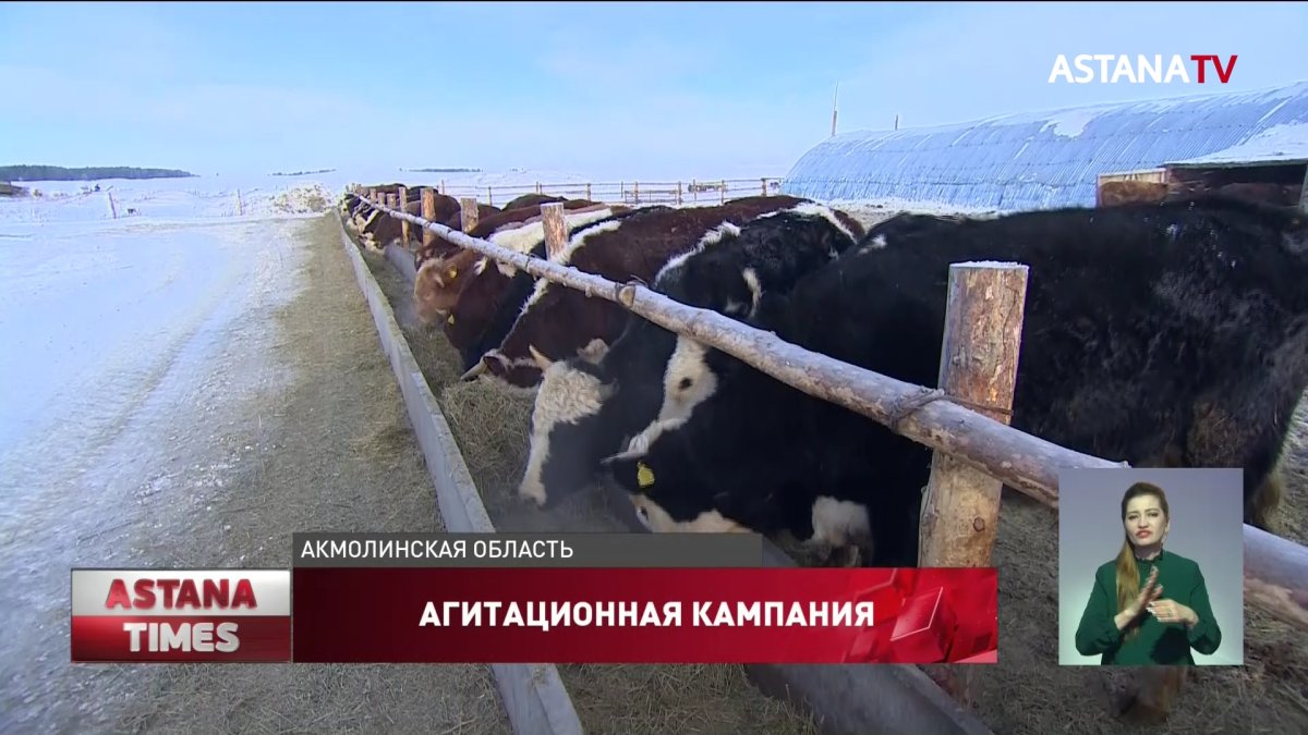 Развитием кооперативов в Казахстане планируют заняться члены партии «Ауыл»