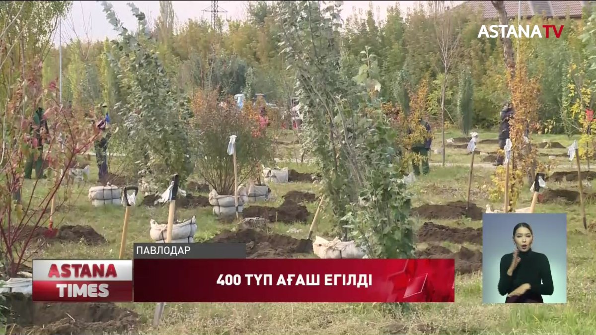 Павлодарда 400 түп ағаш егілді