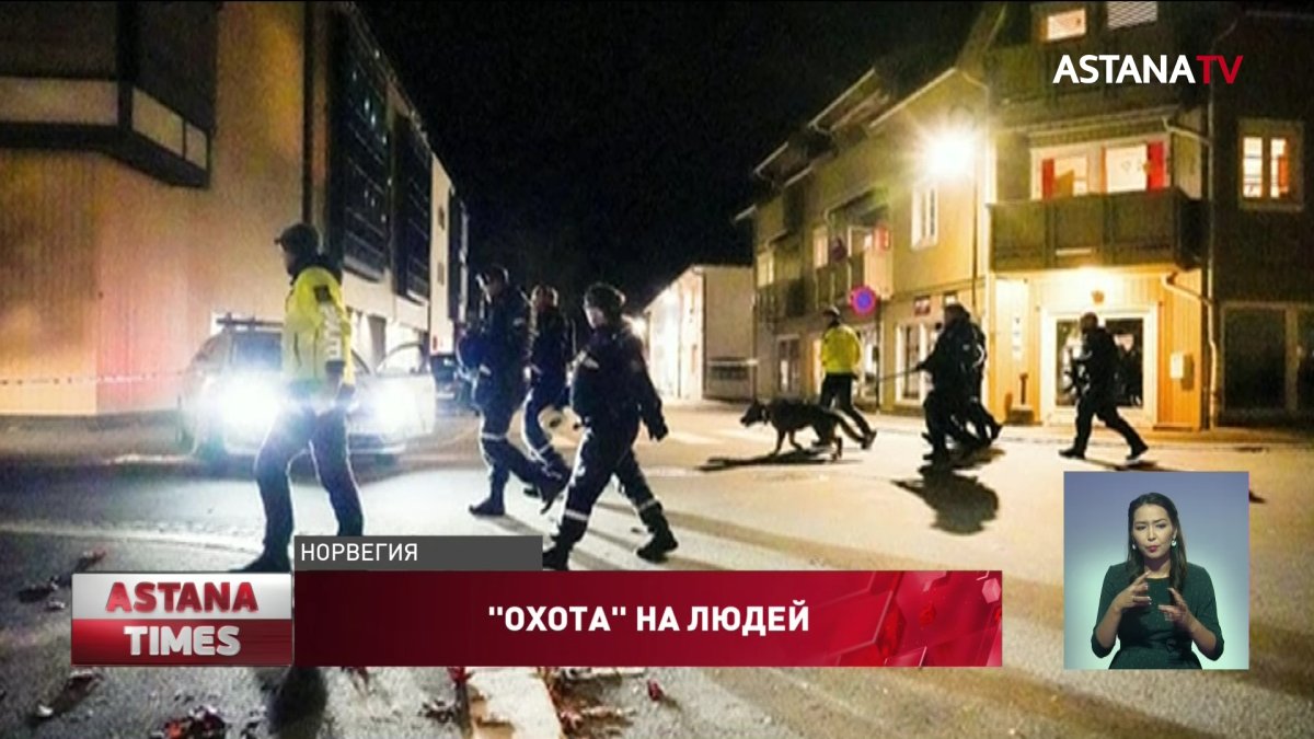 Мужчина убил из лука пять человек в Норвегии