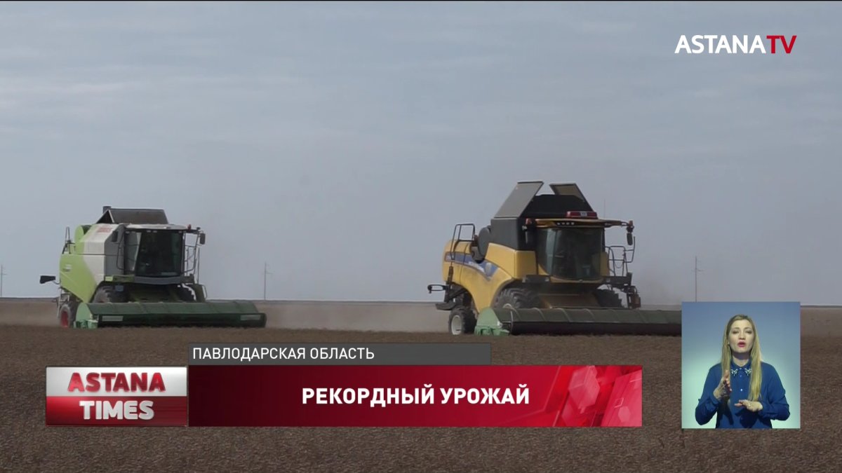 Рекордный урожай зерна вырастили в Павлодарской области