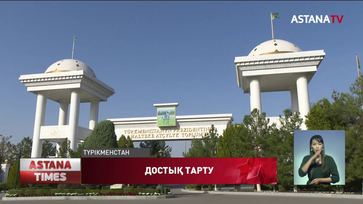 Президентке асылтұқымды ақалтеке мен түрікмен тазысының күшігін сыйға тартты