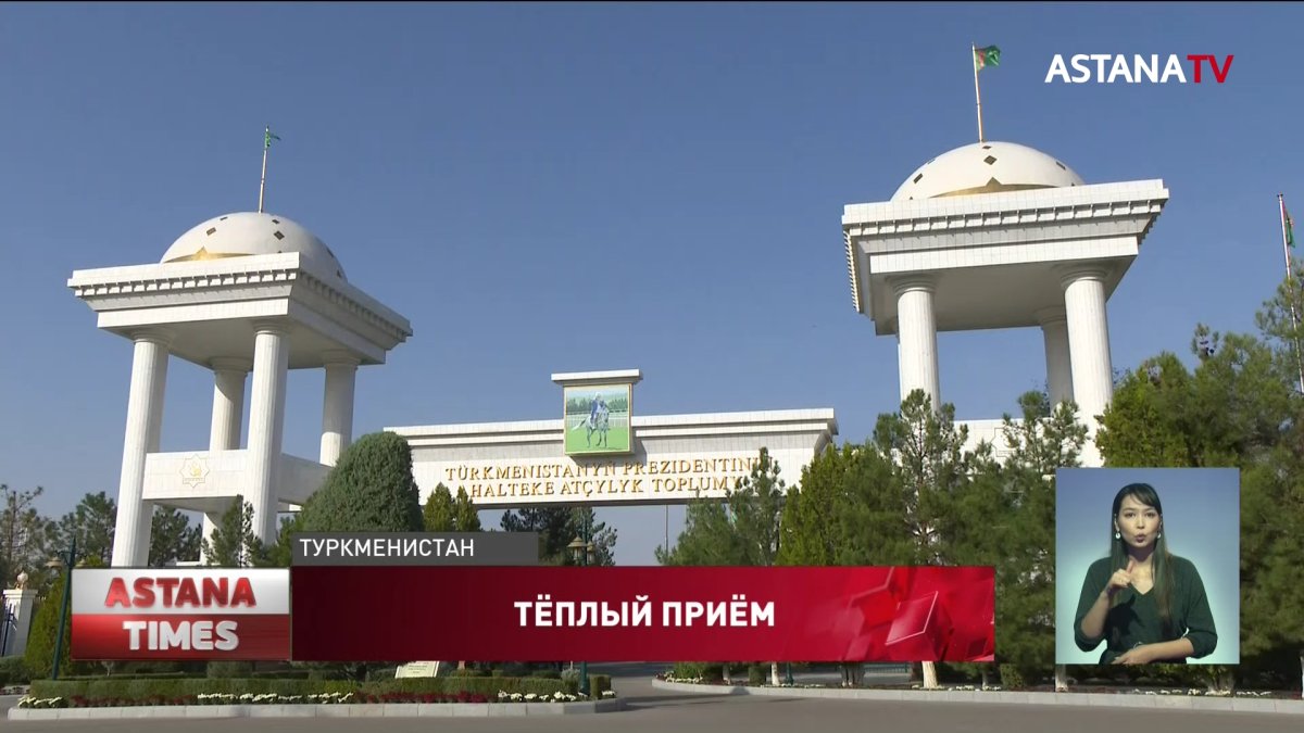 Токаеву подарили чистокровного жеребца и щенка тазы