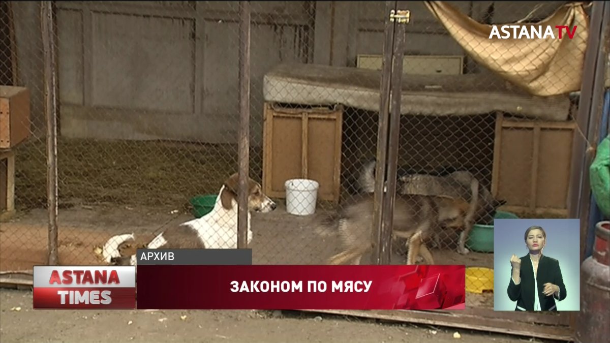 "Это – всё равно, что сказать казаху перестать есть баранину", - Ассоциация о запрете есть мясо собаки
