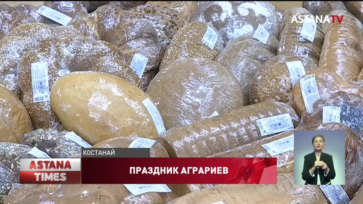 Фермеры Костаная собрали три миллиона тонн зерна