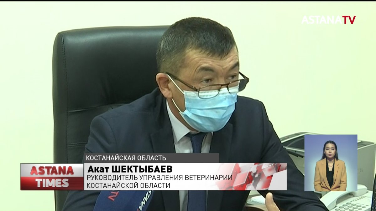 Два работника заразились сибирской язвой в Костанайской области