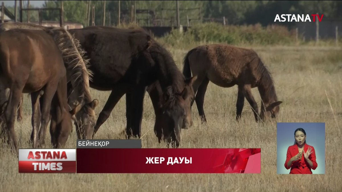 Павлодарда аудан әкімдігі шаруа қожалықтың жерін басқа кәсіпкерге заңсыз беріп жіберген