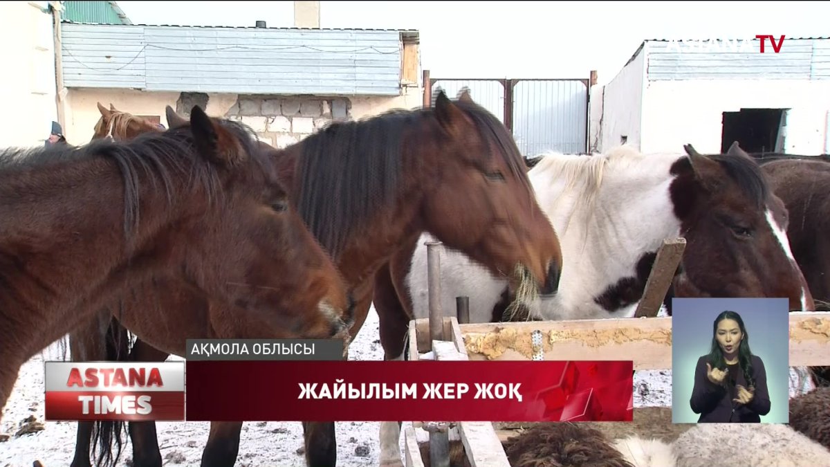 Елорда маңындағы елді-мекендердің тұрғындары мал бағатын жер таппай жүр