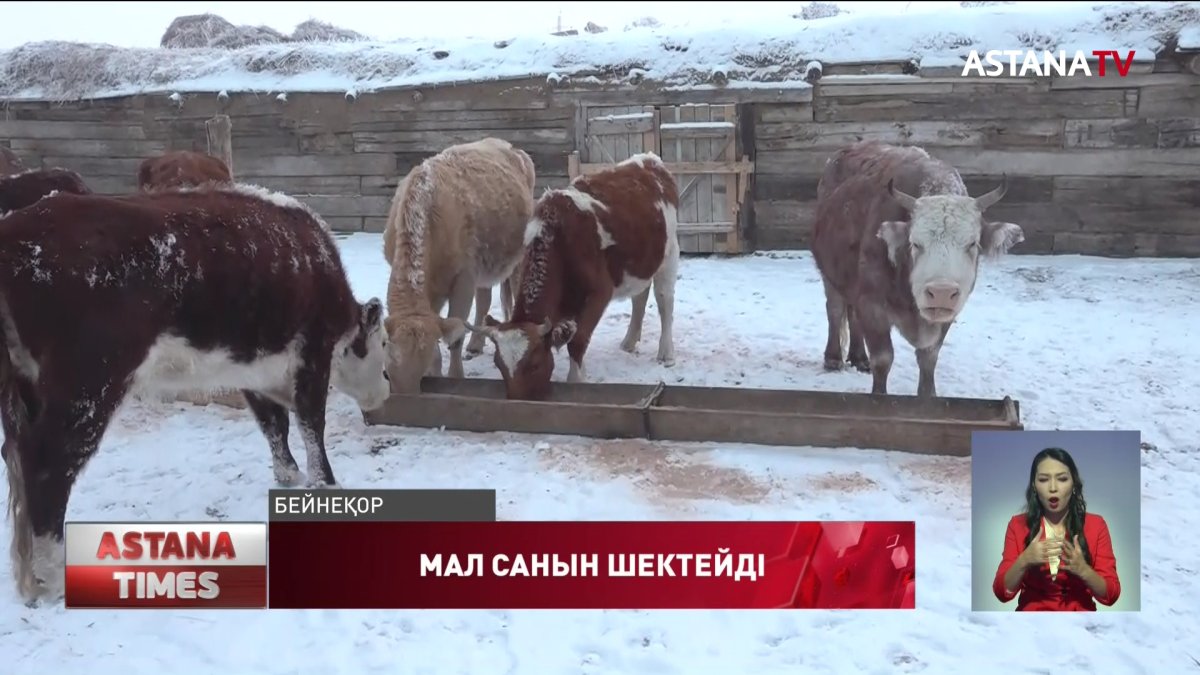 Атыраулық тұрғындар үйде ұстайтын мал санына шектеу қойылмасын,- дейді