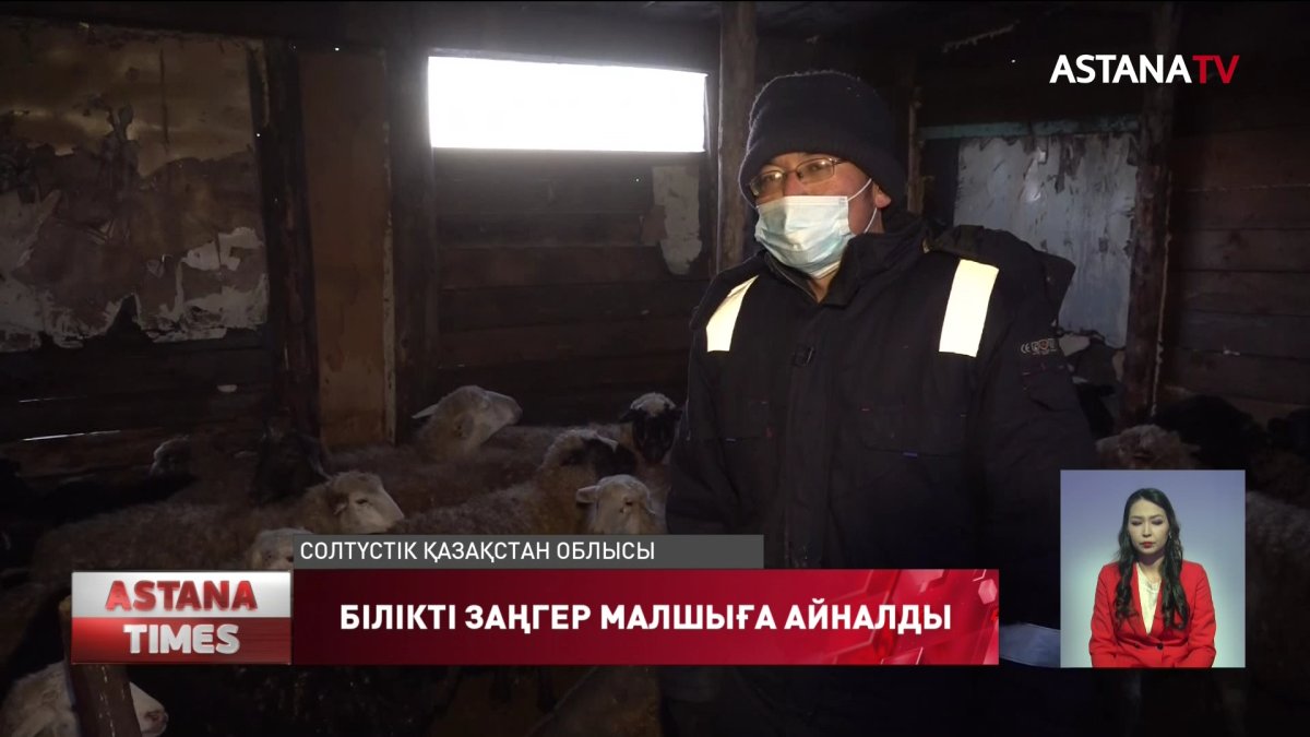 «Еңбек» мемлекеттік бағдарламасымен теріскейге көшіп барғандар жұмыс таппай жүр