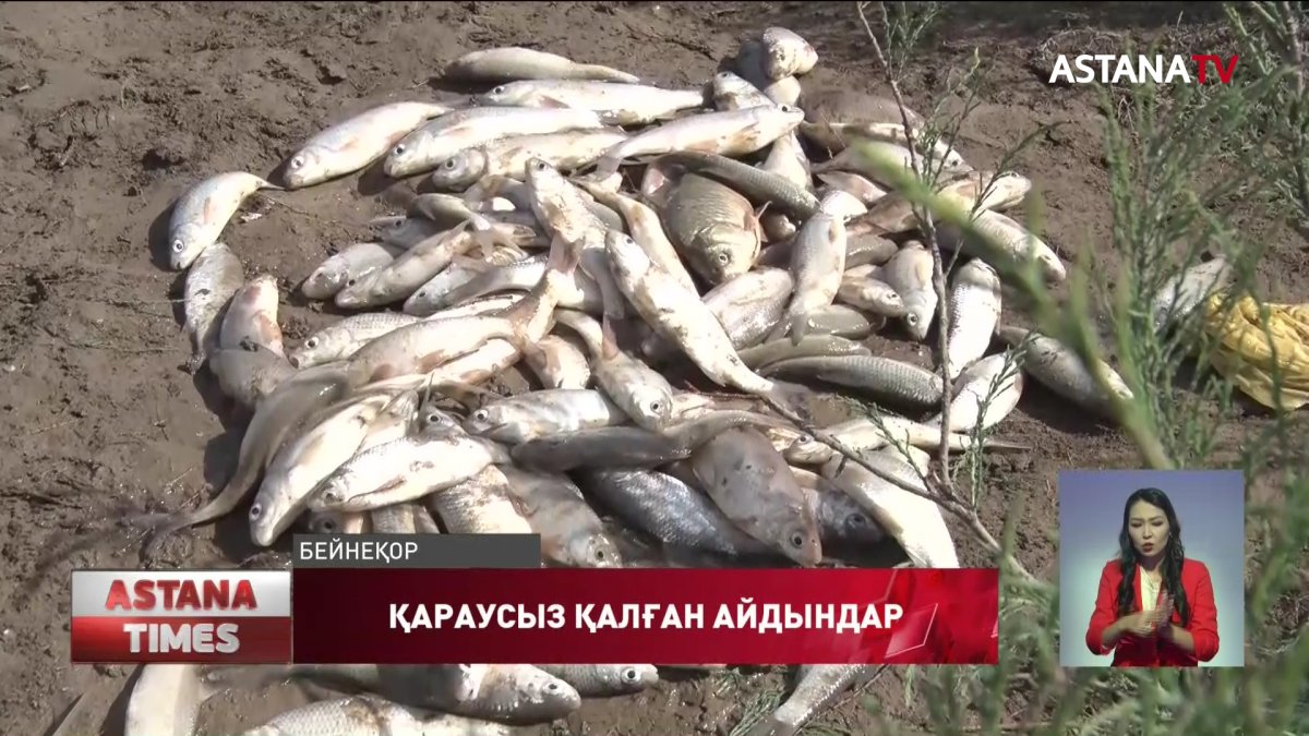 Атыраулық балық қорғаушылар су айдындарын тереңдетуді талап етіп отыр