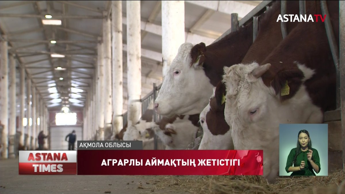 Ақмола облысында өңдеу кәсіпорындары қарқынды дамып келеді