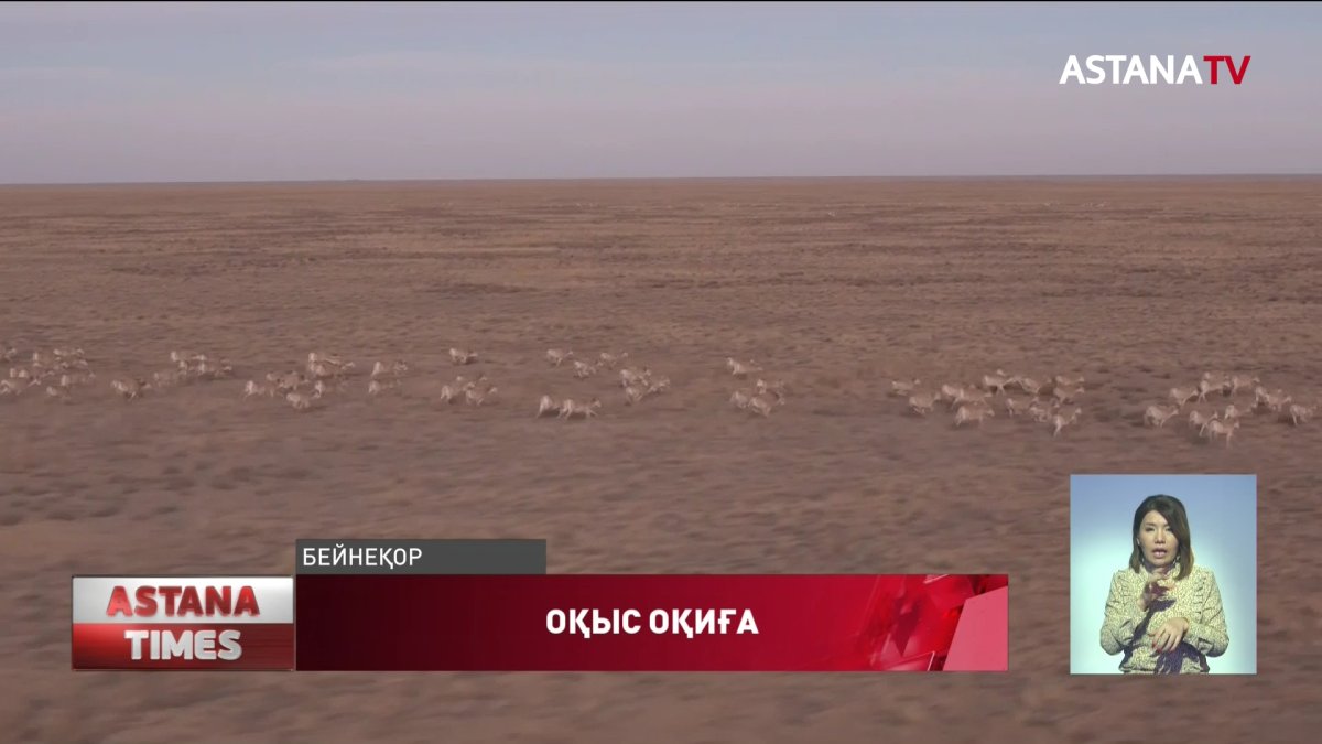 БҚО Орман шаруашылығы және жануарлар дүниесі аумақтық инспекциясының бөлім басшысына оқ тиіп, қаза тапты