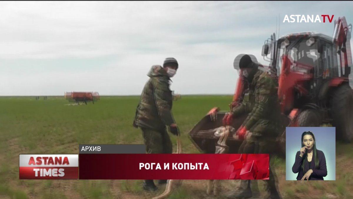 За продажу рогов сайги сотрудник резервата «Алтын дала» получил семь лет тюрьмы